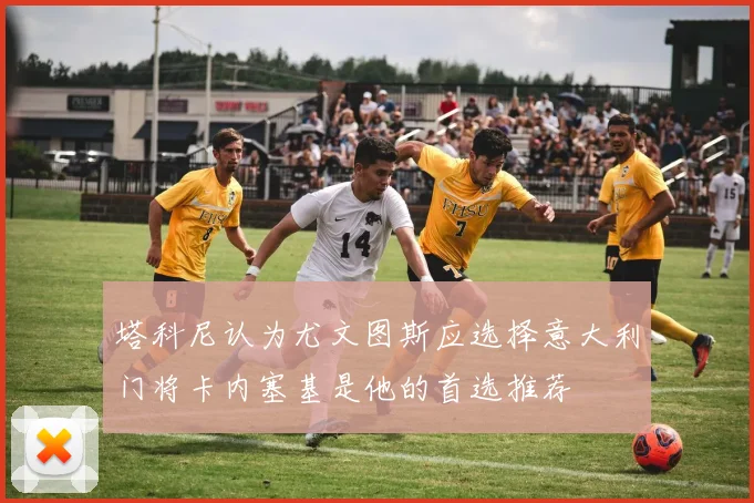 塔科尼认为尤文图斯应选择意大利门将卡内塞基是他的首选推荐